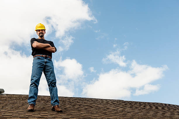 Best Roof Gutter Cleaning  in Green Meadows, OH