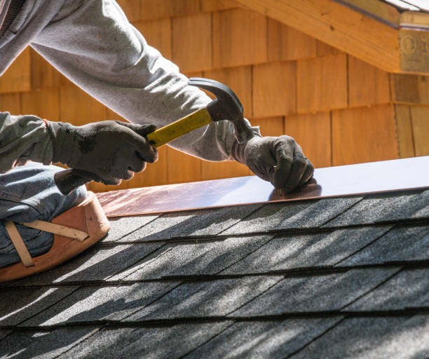 Best Roof Gutter Cleaning  in Green Meadows, OH